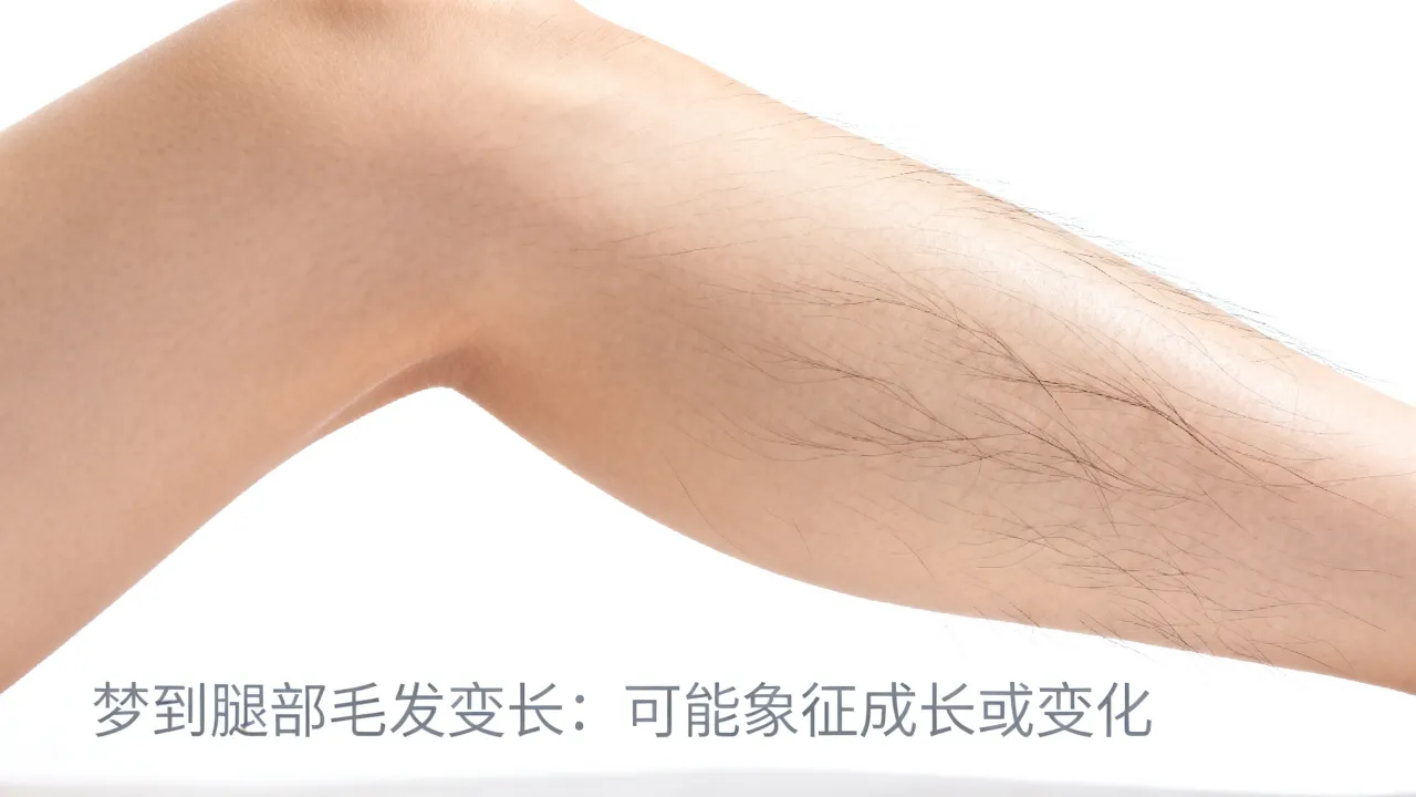梦到了长阴毛是什么兆头，女人梦见阴毛变长是什么预兆