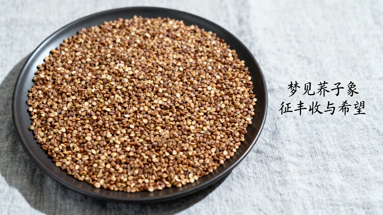 梦到了荞子有什么预兆?做梦梦见荞子是什么意思 梦到了荞子有什么预兆?做梦梦见荞子是什么意思