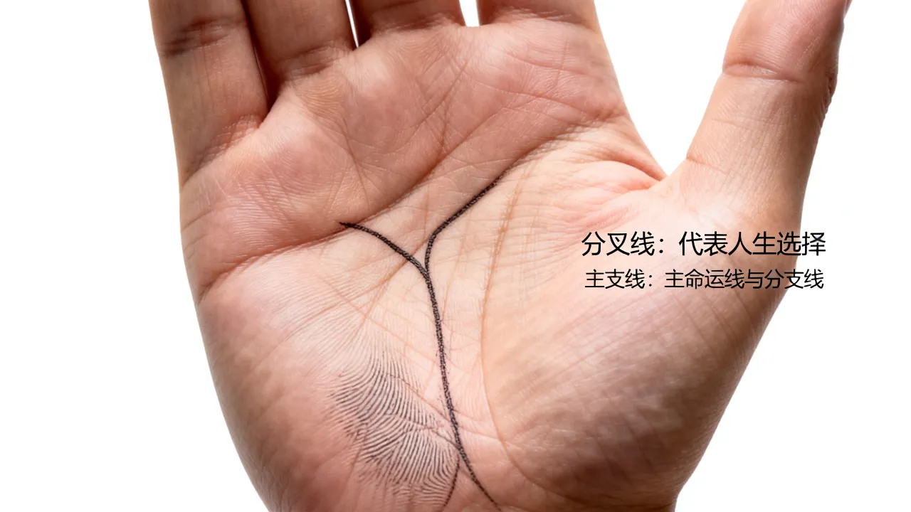 命运线尾部有分叉是什么意思,命运线尾部手相图解大全 命运线尾部有分叉是什么意思,命运线尾部手相图解大全