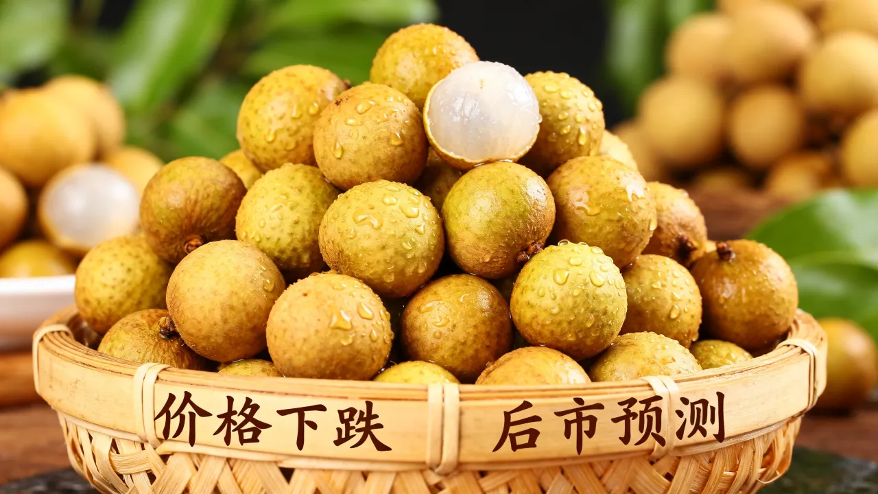 龙眼命运如何？龙眼价格为什么大跌，龙眼后市行情分析