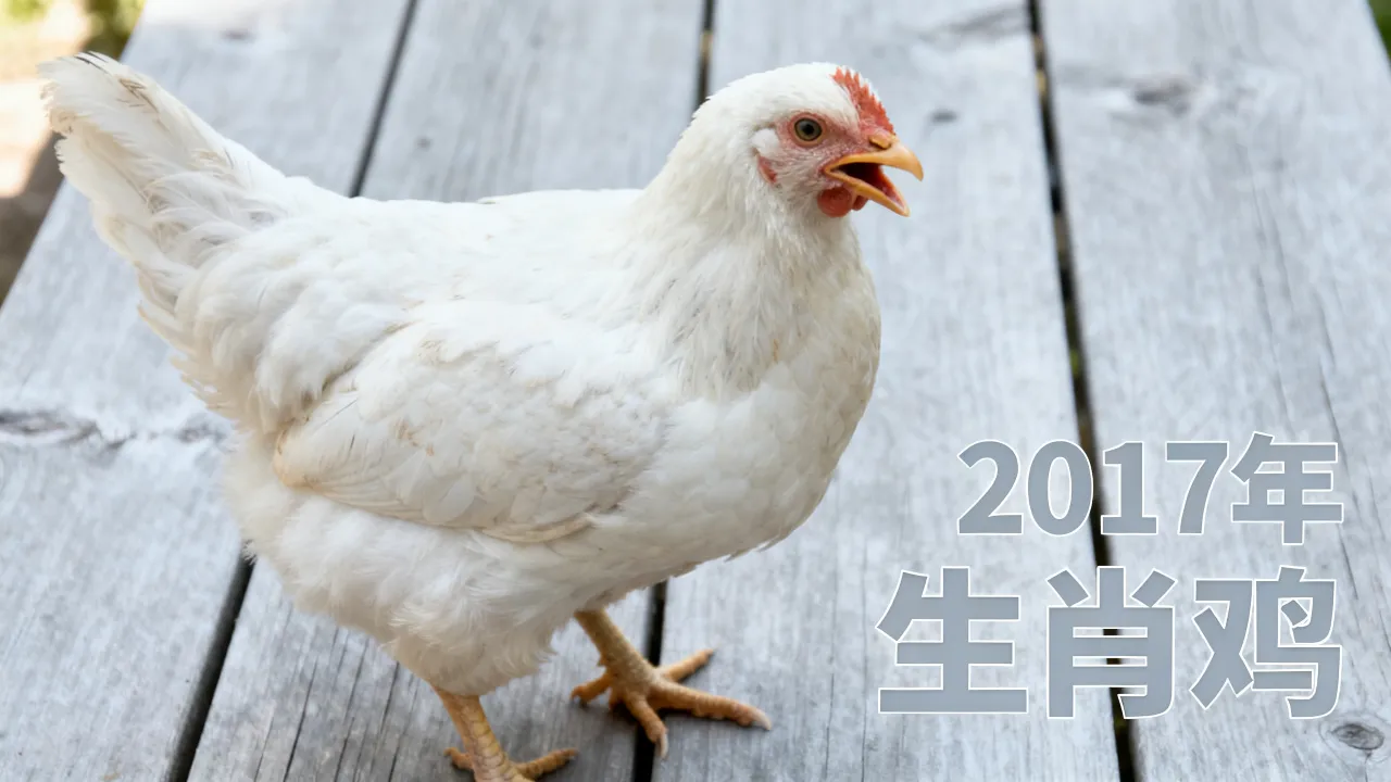 2017年阴历对应的生肖是什么,2017年属什么生肖? 2017年阴历对应的生肖是什么,2017年属什么生肖?
