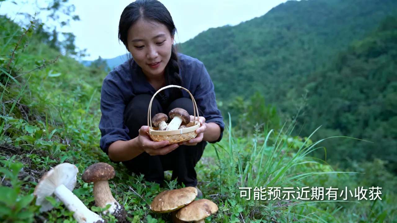 梦见山上捡蘑菇怎么回事,梦见山上捡蘑菇是什么预兆? 梦见山上捡蘑菇怎么回事,梦见山上捡蘑菇是什么预兆?
