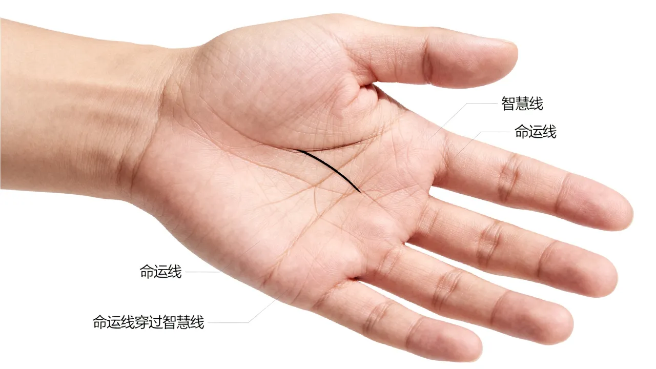 命运线在智慧线代表什么，命运线穿过智慧线是什么征兆