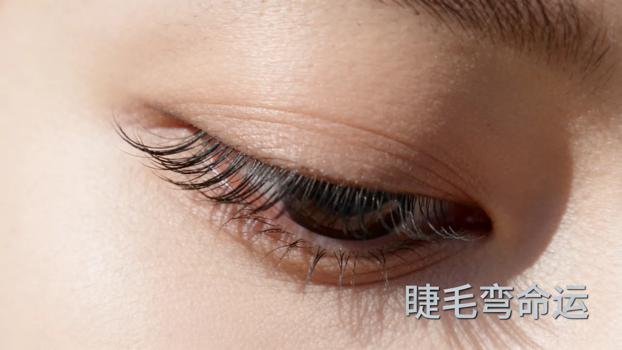 睫毛弯命运是什么意思,睫毛弯命运是什么梗及出处 睫毛弯命运是什么意思,睫毛弯命运是什么梗及出处