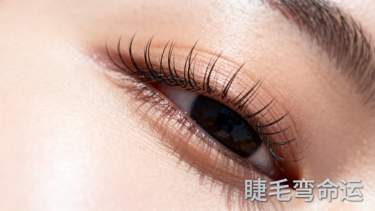 睫毛弯命运是什么意思,睫毛弯命运是什么梗及出处 睫毛弯命运是什么意思,睫毛弯命运是什么梗及出处