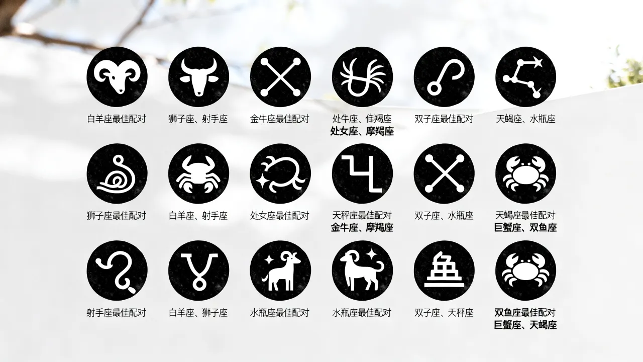 十二星座最相配的星座是什么，十二星座最佳配对表排名查询