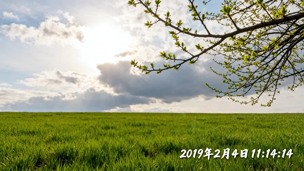 阴历2019立春是几月几号,2019立春具体时间几点几分? 阴历2019立春是几月几号,2019立春具体时间几点几分?