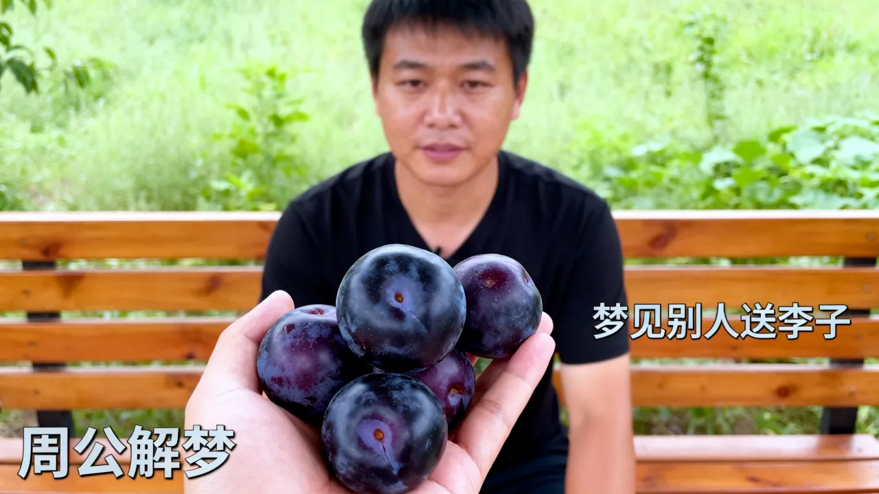 梦见别人送李子是什么预兆,周公解梦梦见别人送李子什么寓意 梦见别人送李子是什么预兆,周公解梦梦见别人送李子什么寓意