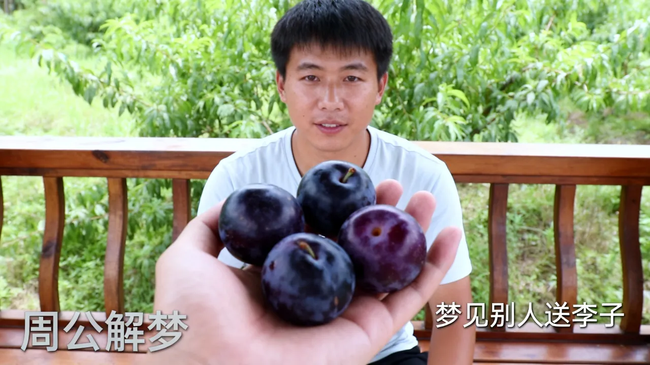 梦见别人送李子是什么预兆,周公解梦梦见别人送李子什么寓意 梦见别人送李子是什么预兆,周公解梦梦见别人送李子什么寓意
