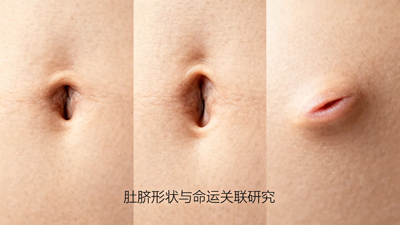 肚脐的形状能决定命运吗,肚脐形状看命运有科学依据吗 肚脐的形状能决定命运吗,肚脐形状看命运有科学依据吗