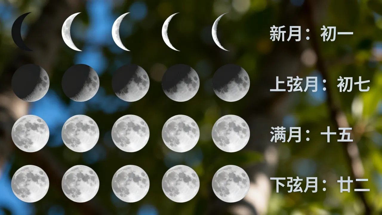 月相变化和阴历有什么关系,阴历日期对应月相变化查询表? 月相变化和阴历有什么关系,阴历日期对应月相变化查询表?