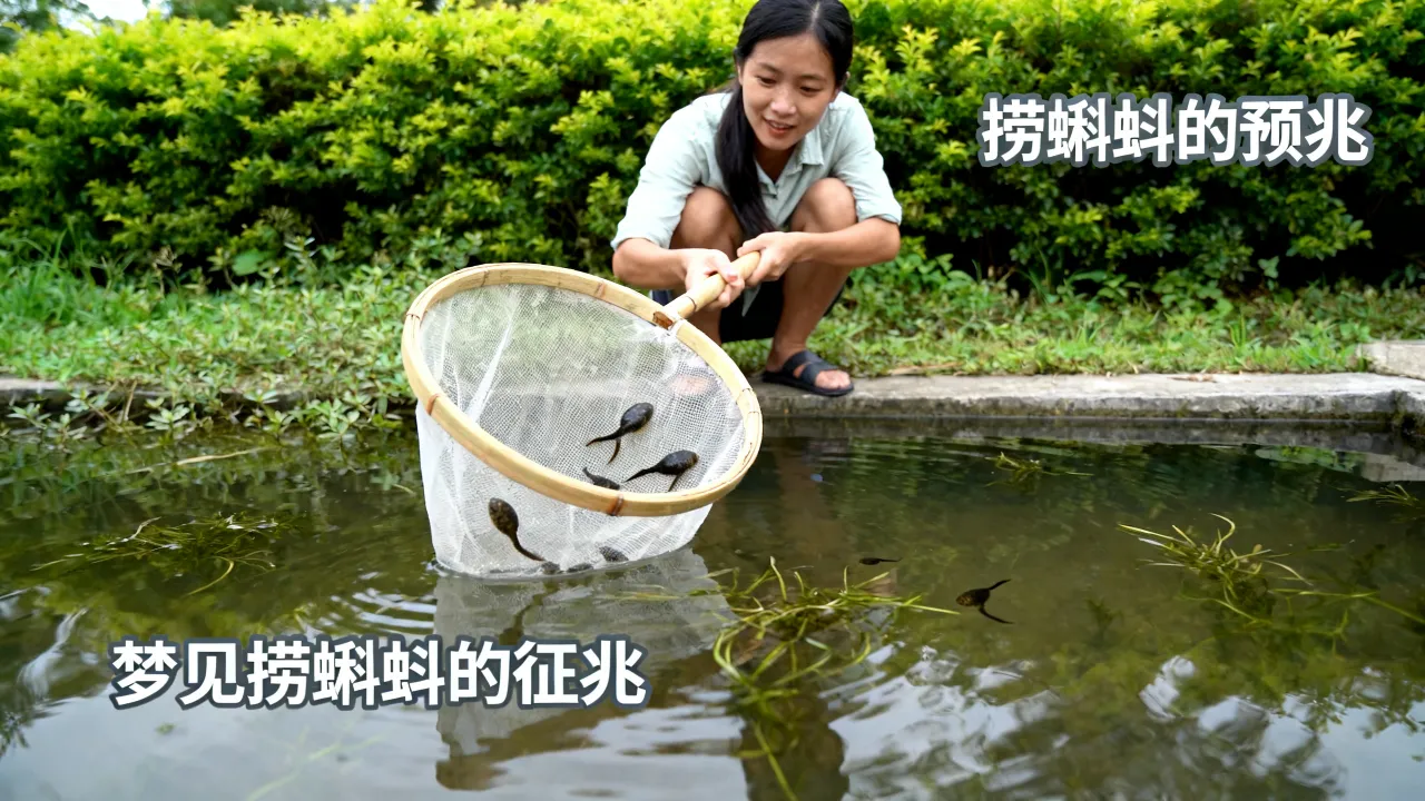 梦到了捞蝌蚪的预兆是什么,梦见捞蝌蚪有什么征兆? 梦到了捞蝌蚪的预兆是什么,梦见捞蝌蚪有什么征兆?