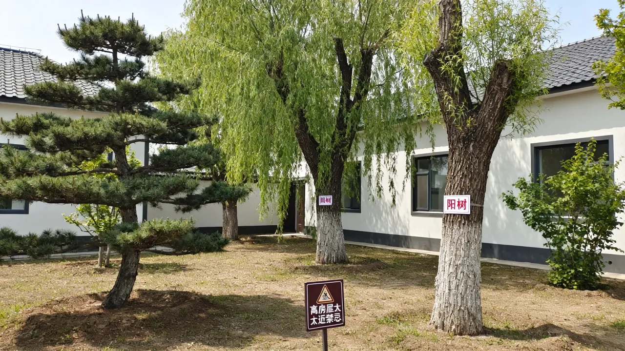 树的阴阳吉凶怎么看出,庭院树木风水禁忌有哪些? 树的阴阳吉凶怎么看出,庭院树木风水禁忌有哪些?