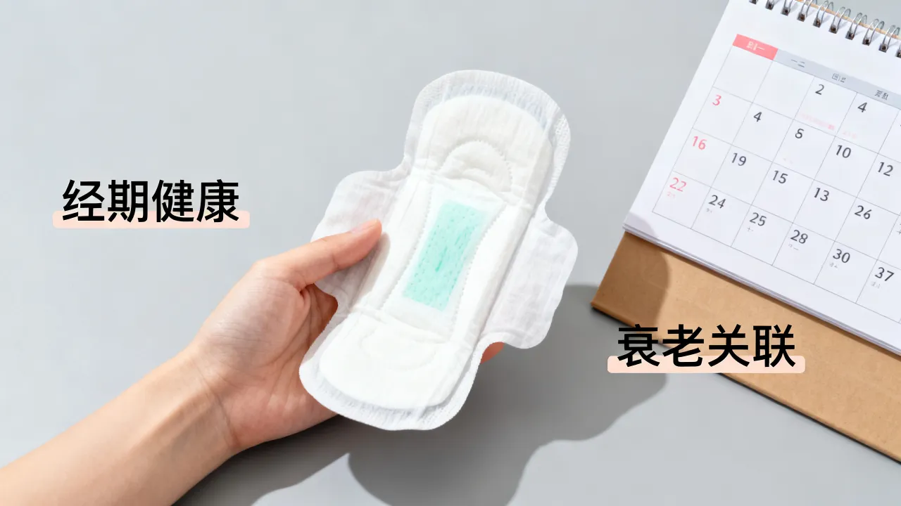 大姨妈命运真的能决定寿命吗?女性经期健康与衰老有何关联? 大姨妈命运真的能决定寿命吗?女性经期健康与衰老有何关联?