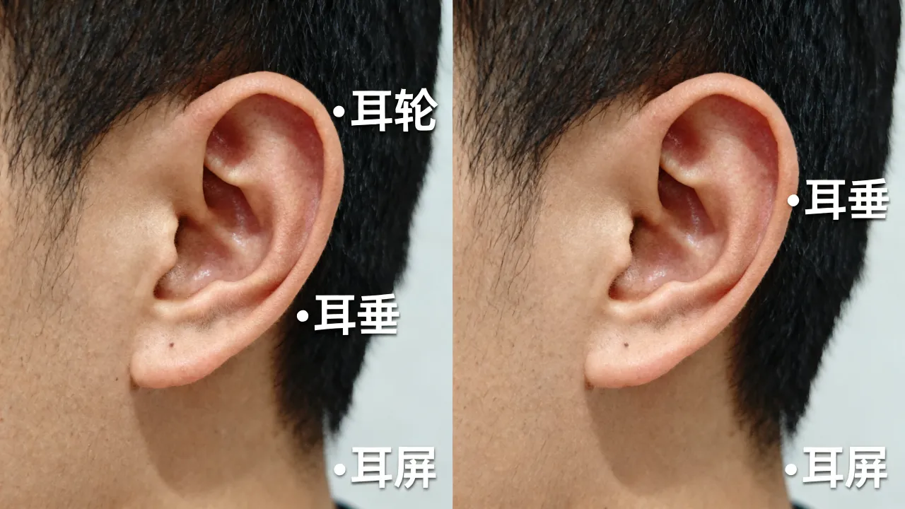 耳朵能看吉凶吗,怎么看耳朵面相吉凶图解大全? 耳朵能看吉凶吗,怎么看耳朵面相吉凶图解大全?