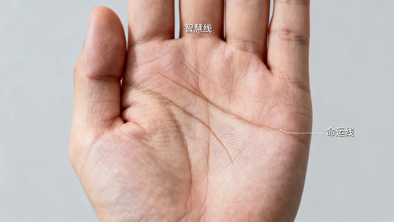 智慧线和命运线怎么看?手相智慧线短命运线长代表什么? 智慧线和命运线怎么看?手相智慧线短命运线长代表什么?