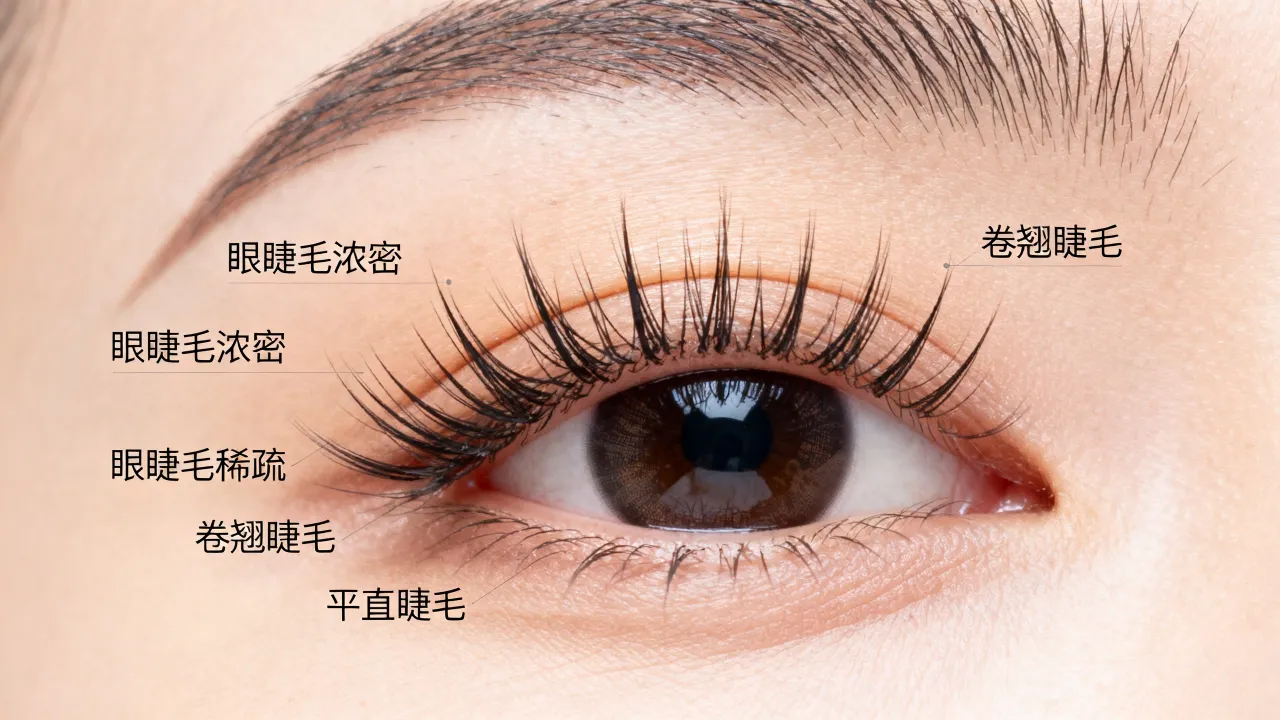 怎么看眼睫毛长相吉凶,眼睫毛浓密有什么预兆? 怎么看眼睫毛长相吉凶,眼睫毛浓密有什么预兆?