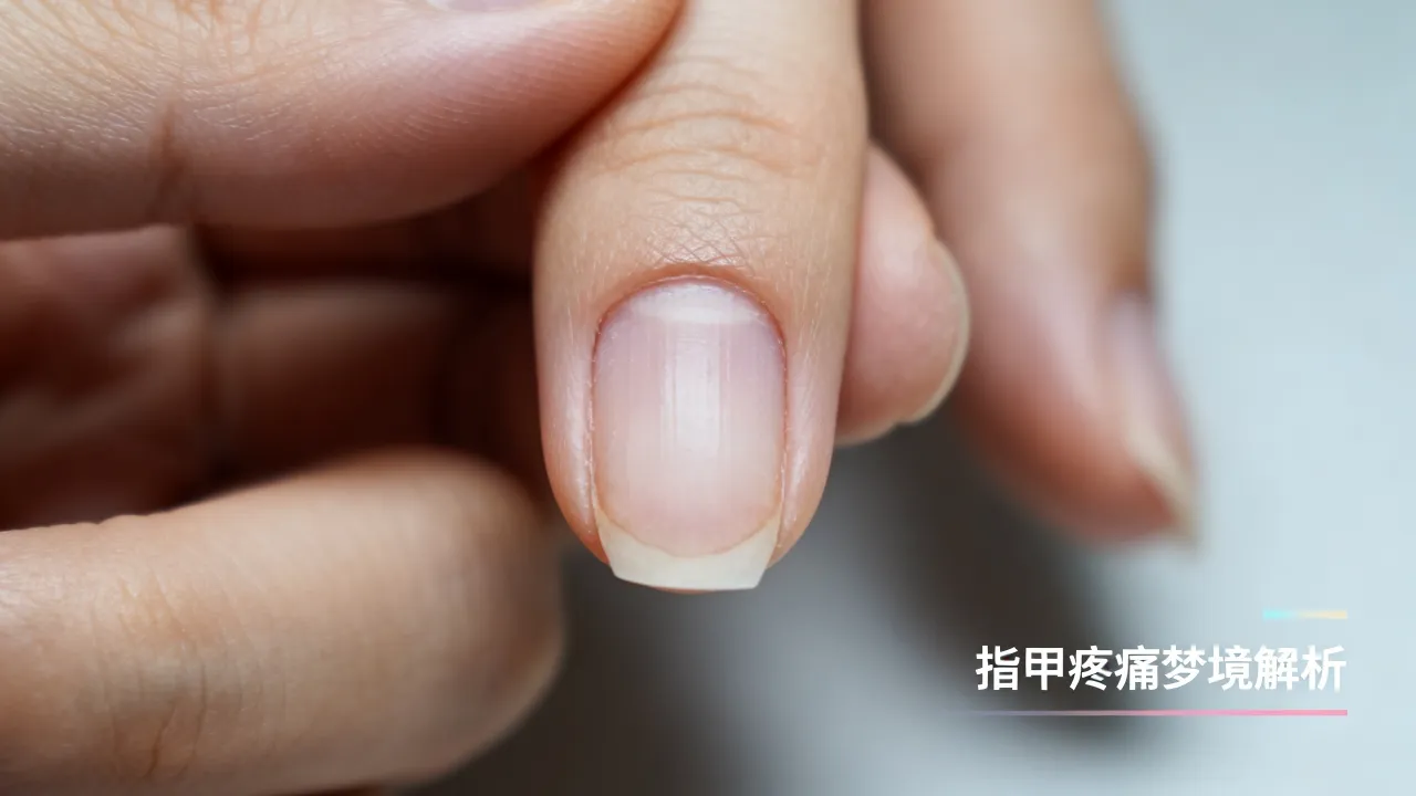 梦到了指甲疼有什么意义吗,梦见指甲疼是什么预兆有什么说法吗 梦到了指甲疼有什么意义吗,梦见指甲疼是什么预兆有什么说法吗