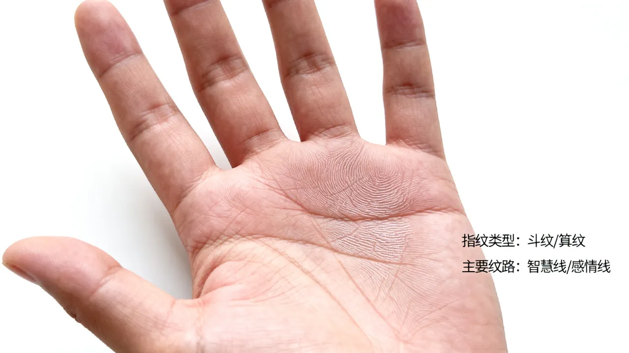 指纹看命运是真的吗,手掌纹路决定人生轨迹准不准 指纹看命运是真的吗,手掌纹路决定人生轨迹准不准