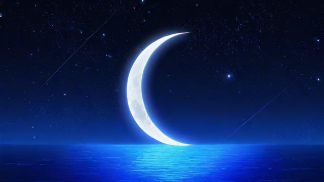 海月星座是指哪个具体的星座？
