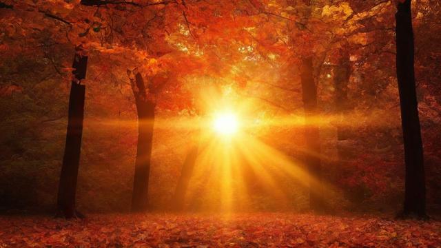 阴历10月29日出生的人属于什么星座？