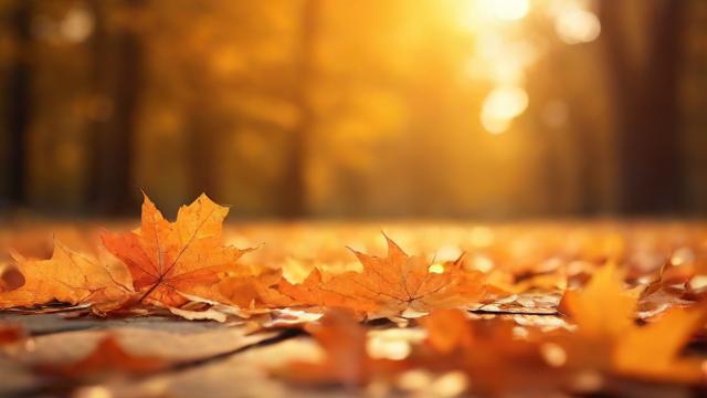 阴历10月29是什么星座