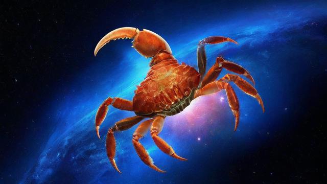 天蝎后面的星座是什么