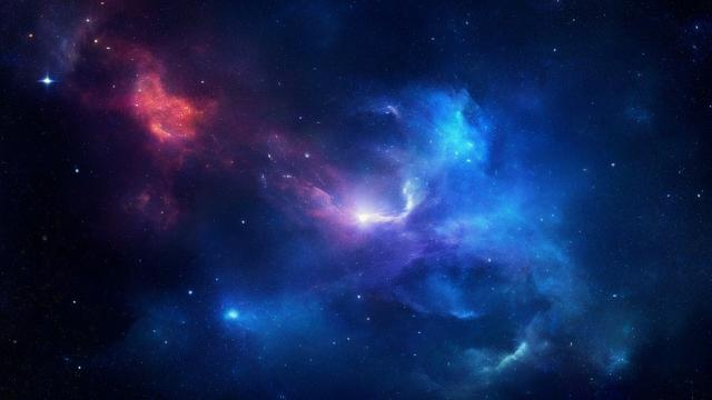 执着的星座