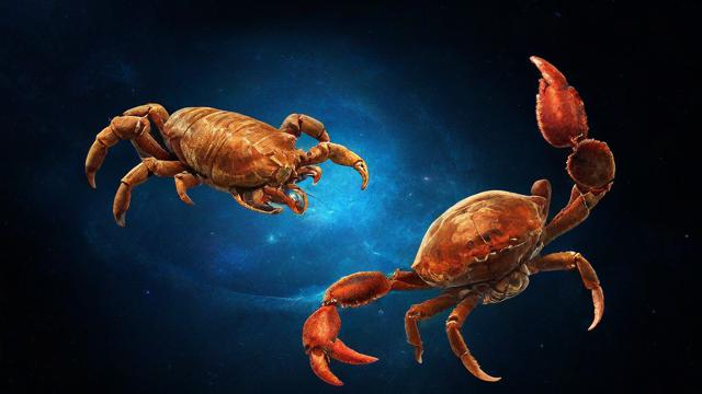 天蝎座与哪个星座最配