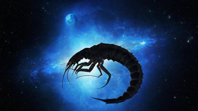 什么星座能毁掉天蝎