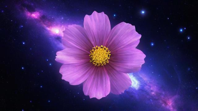 星座花心排行，哪个星座最易变心？