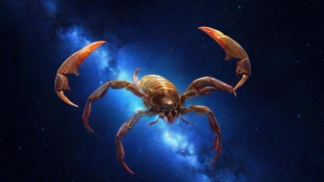 魔蝎座与哪个星座最配？
