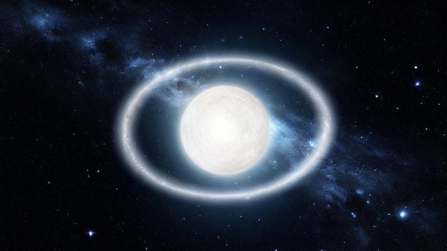 最白痴星座