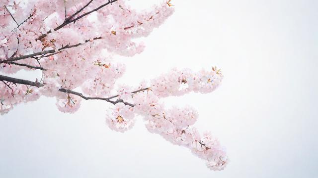 你知道农历4月初二是什么日子吗？