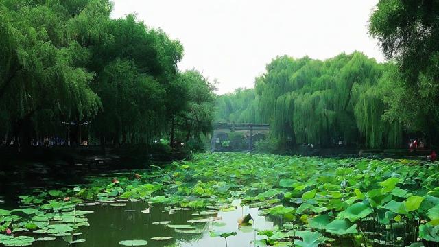 农历5月初4，这一天有哪些传统习俗与文化意义？