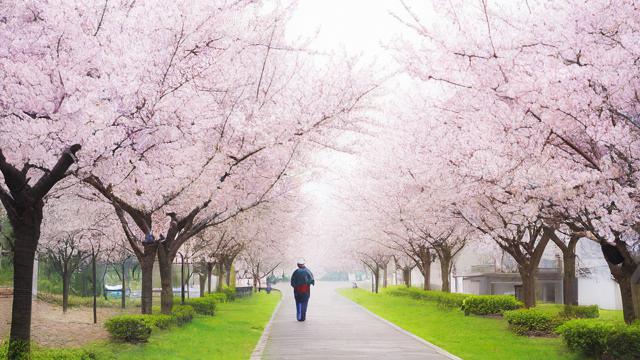 4月农历15