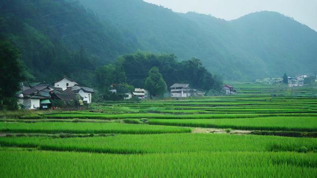 农历五月十三是什么节日或重要日子？