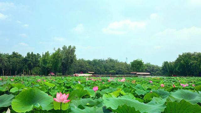农历七月十一，这一天有何特殊意义或习俗？