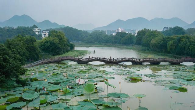 6月8号对应的农历日期是几月几号？