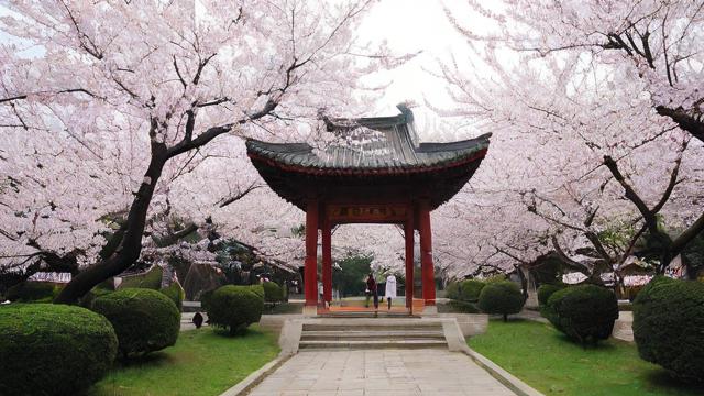2013年4月农历有哪些重要的节日和习俗？