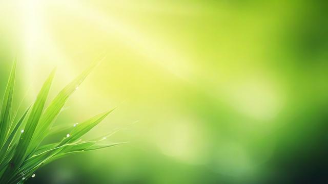 农历六月六出生的人有哪些独特的性格特点？