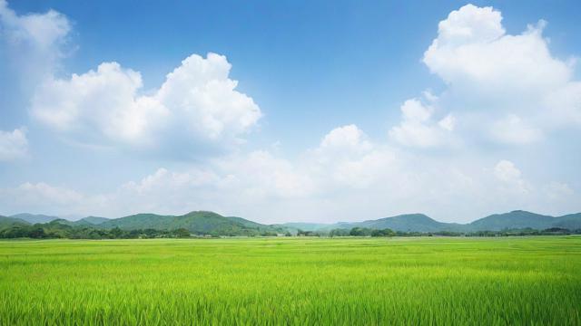 2018年农历6月，有哪些重要事件或节日值得关注？