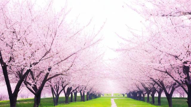 农历4月初7，这一天有何特殊意义？