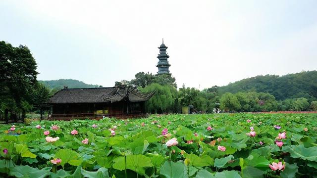 农历5月3日是什么重要的日子吗？