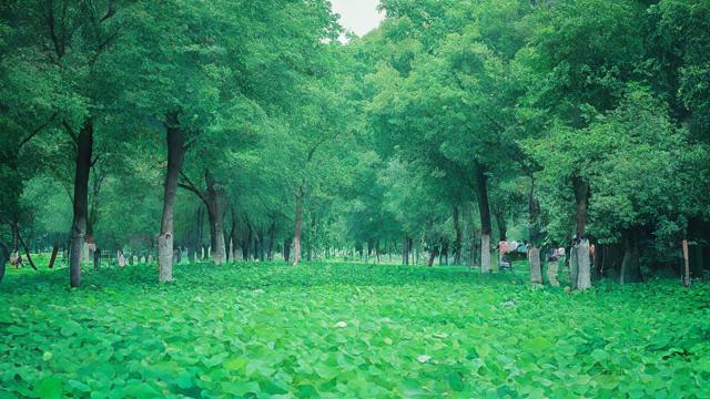 农历6月初三