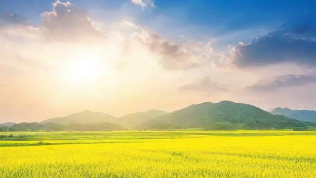 农历9月12日是什么特殊的日子吗？