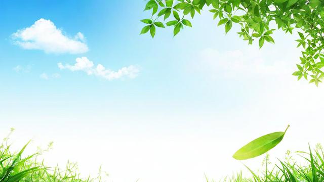 7月11日对应的农历日期是几号？