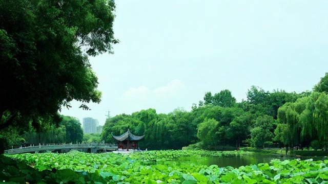 农历7月29日，这一天有何特殊意义或习俗？