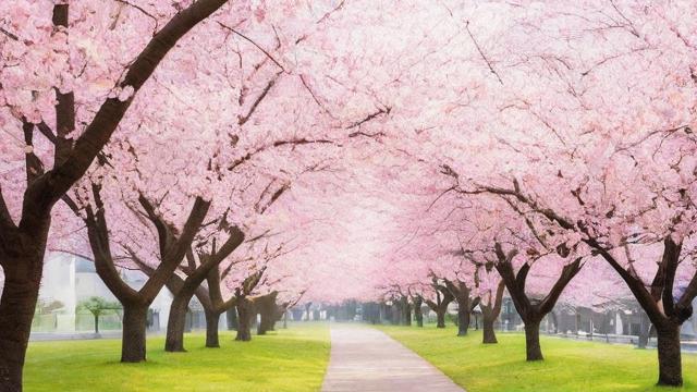 4月1日在农历中是哪一天？