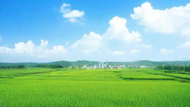 闰农历六月初四